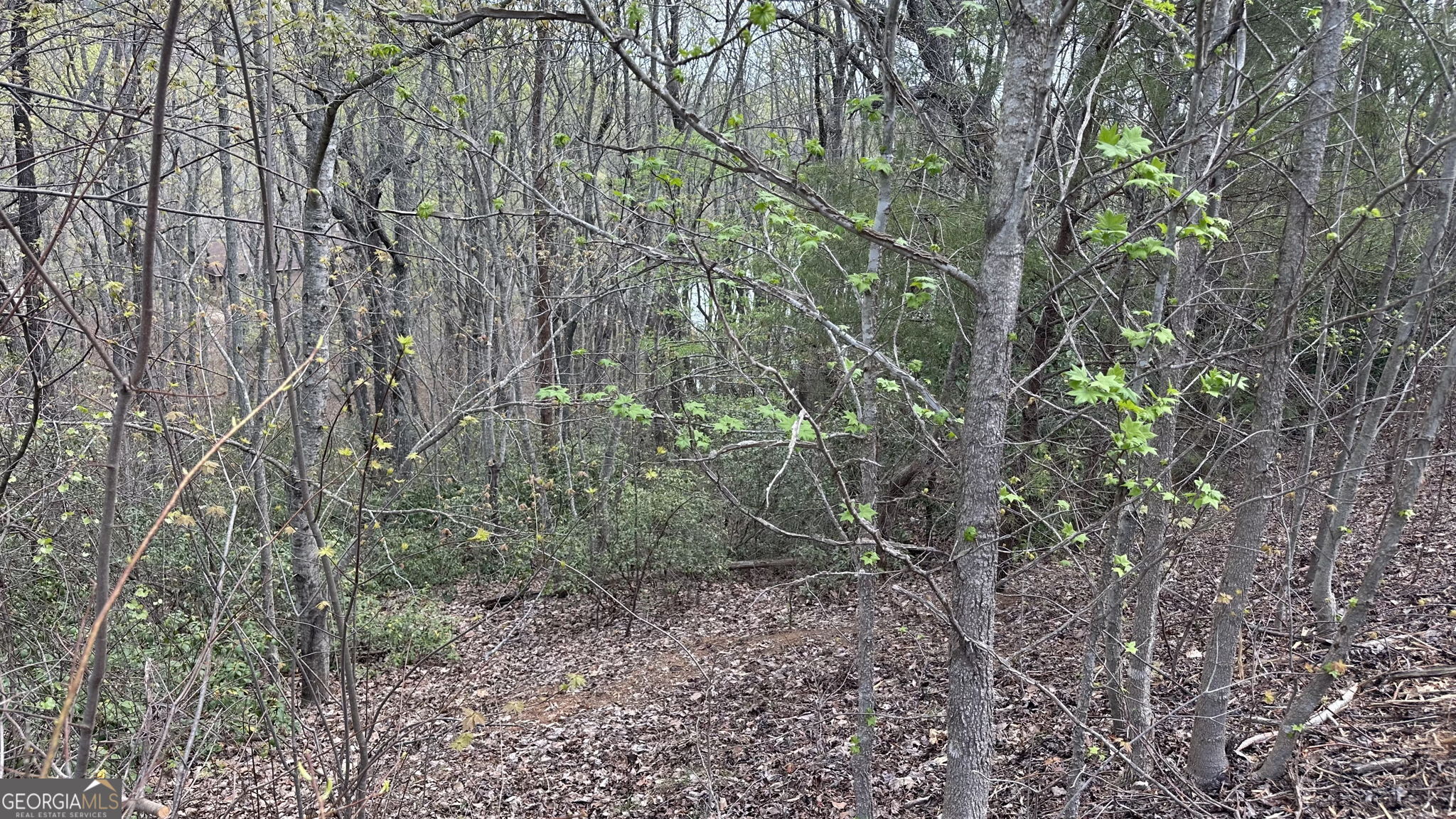 LOT 240, S. Laceola Drive