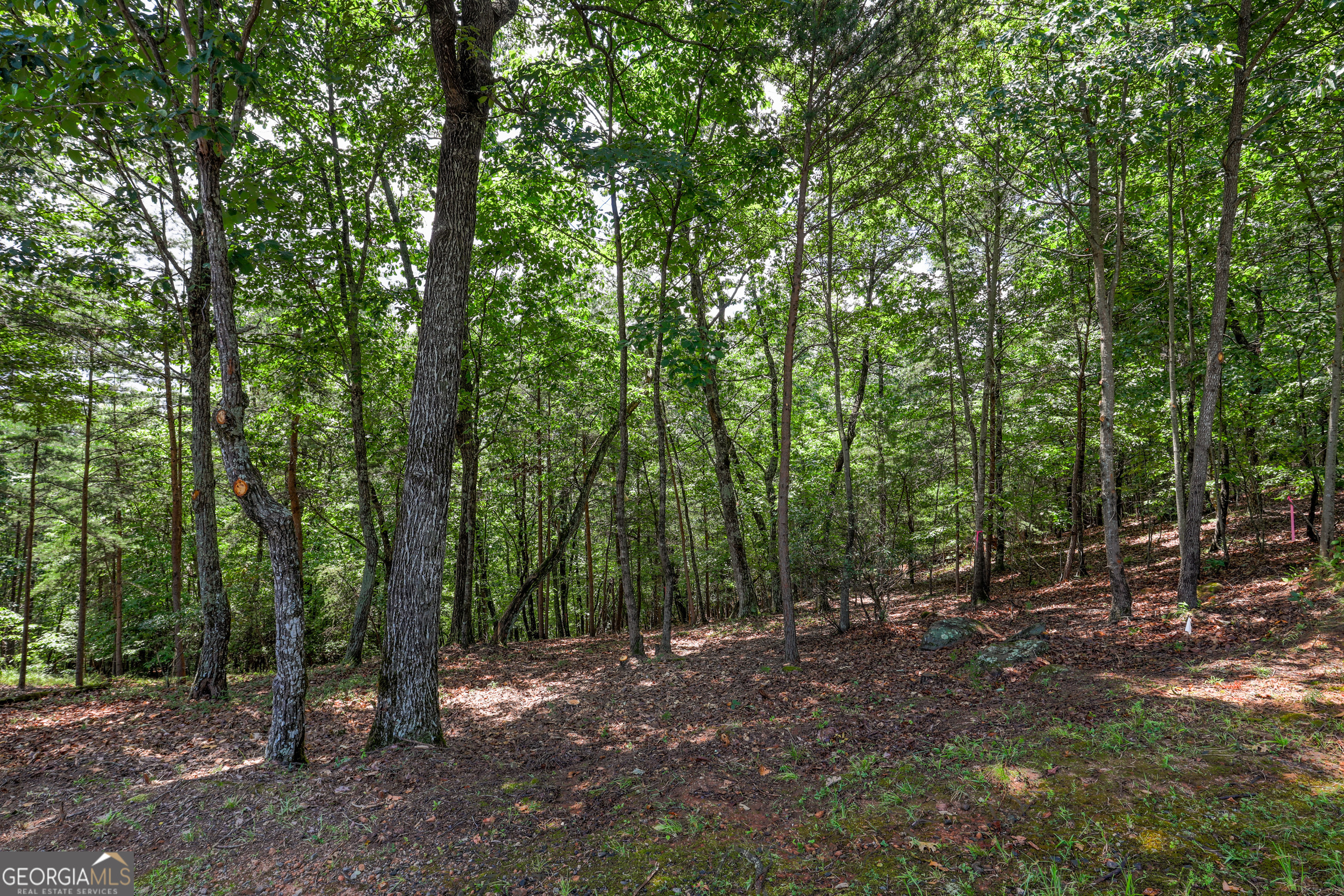LOT 138 Timber Rock Drive