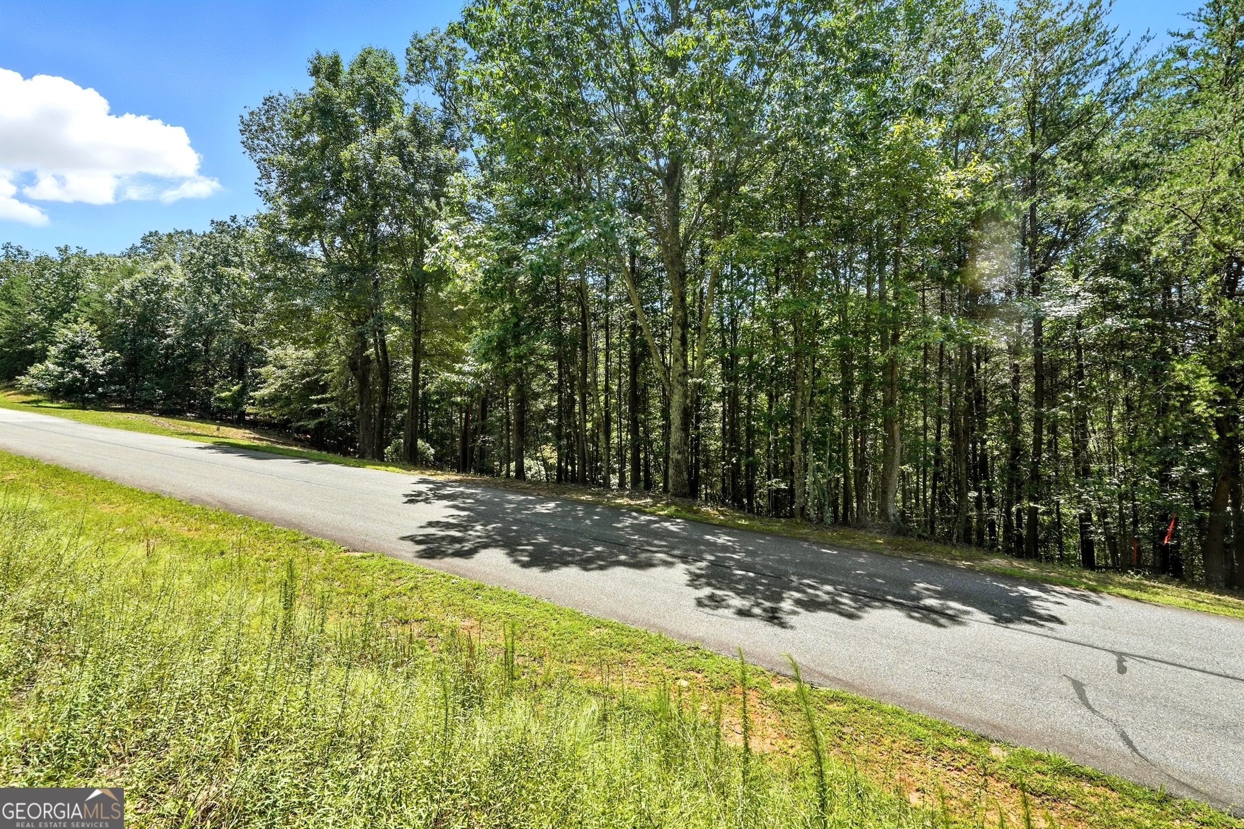 0 Laceola South Road LOT 120