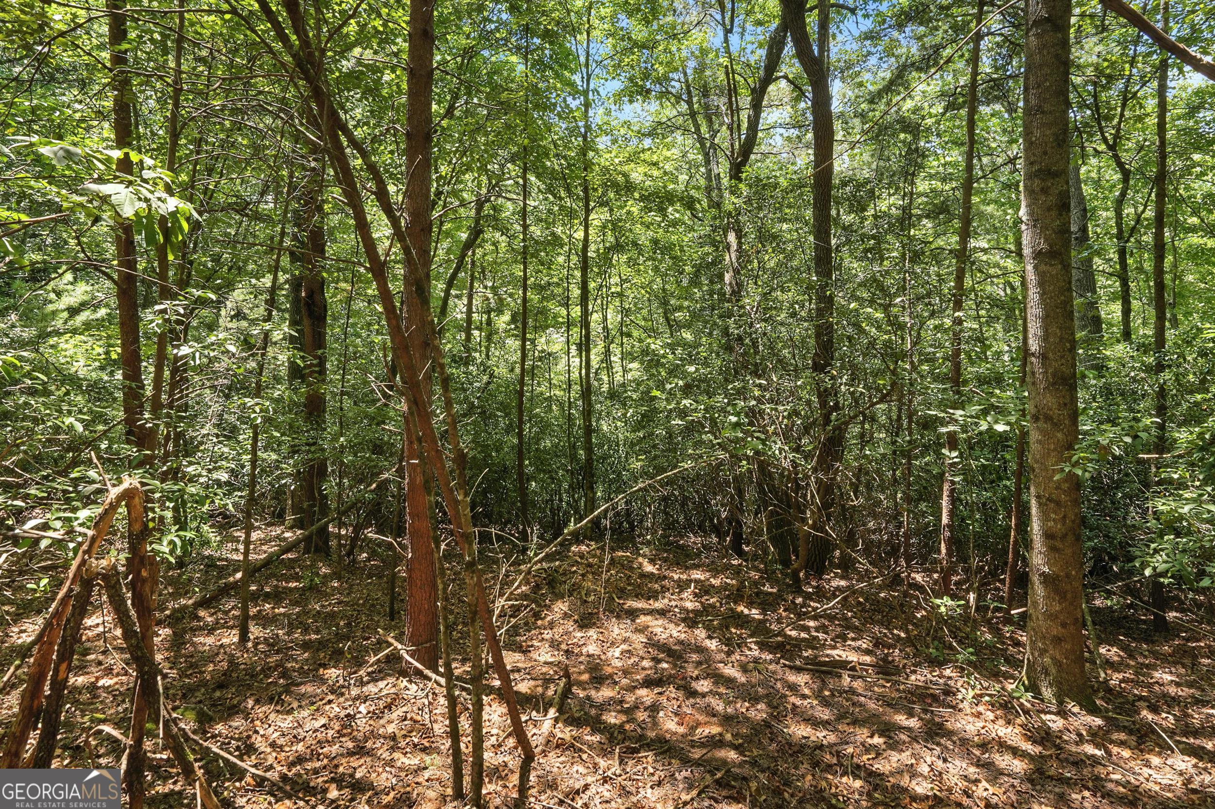 0 Laceola South Road LOT 120