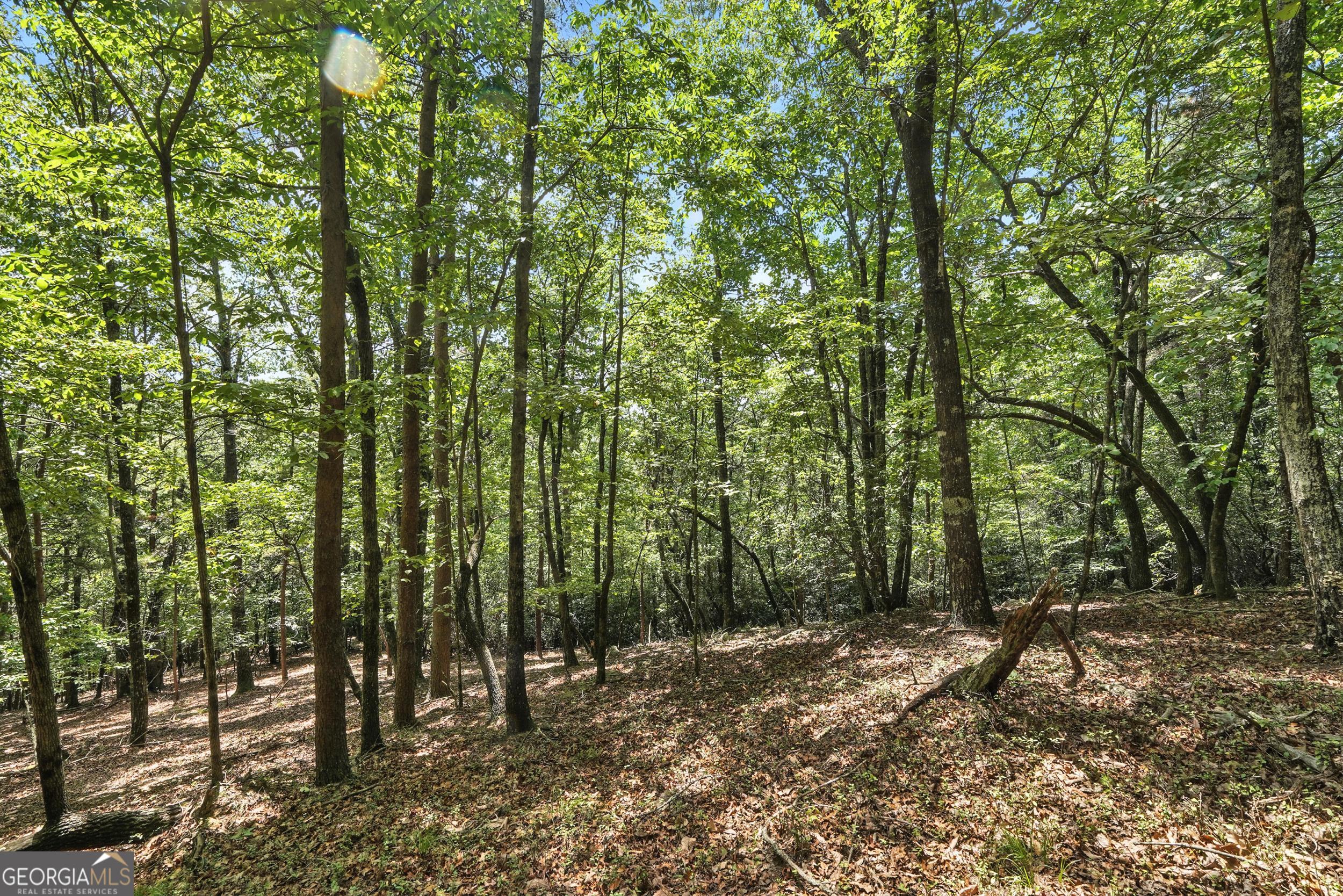 0 Laceola South Road LOT 120