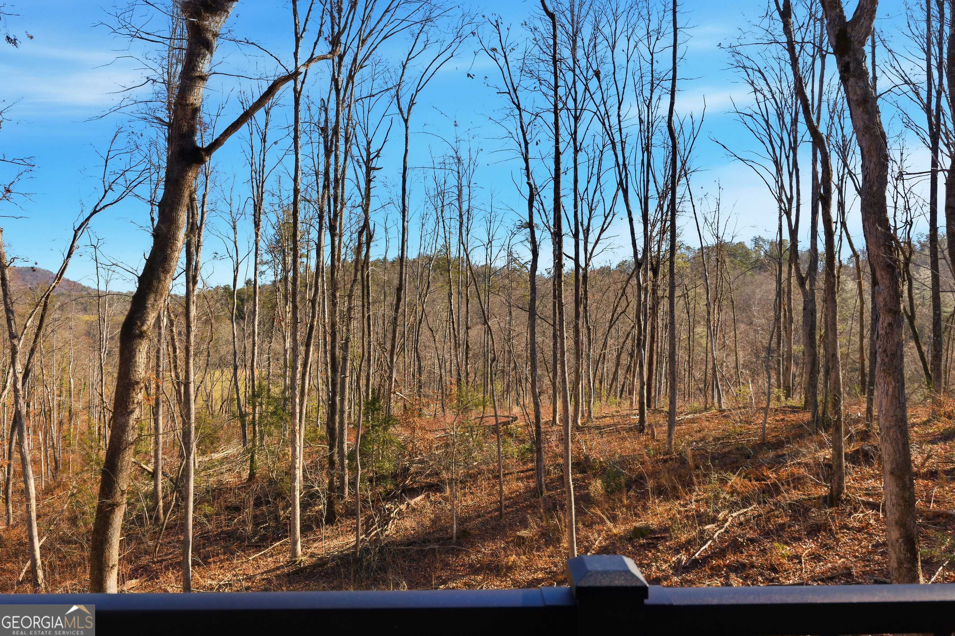 8165 Bridge Creek Road