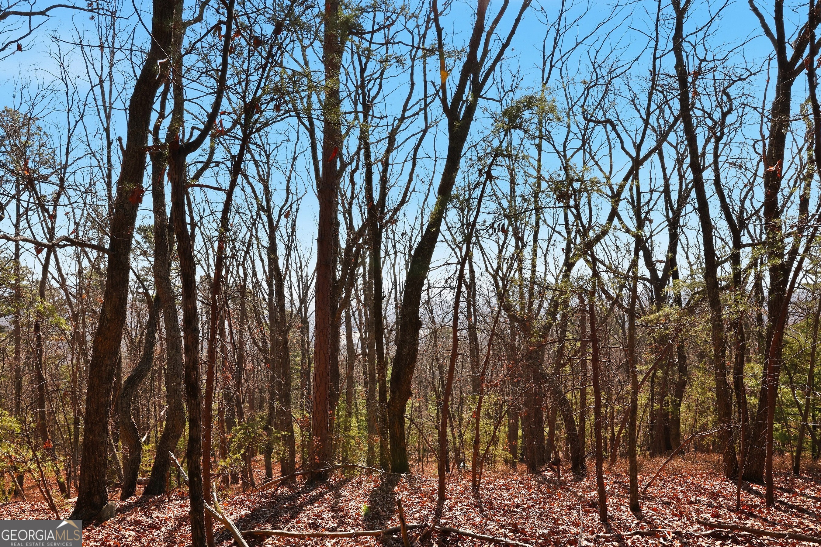 0 Mountain Sweet Drive # 59 Unit: LOTS 58 & 59