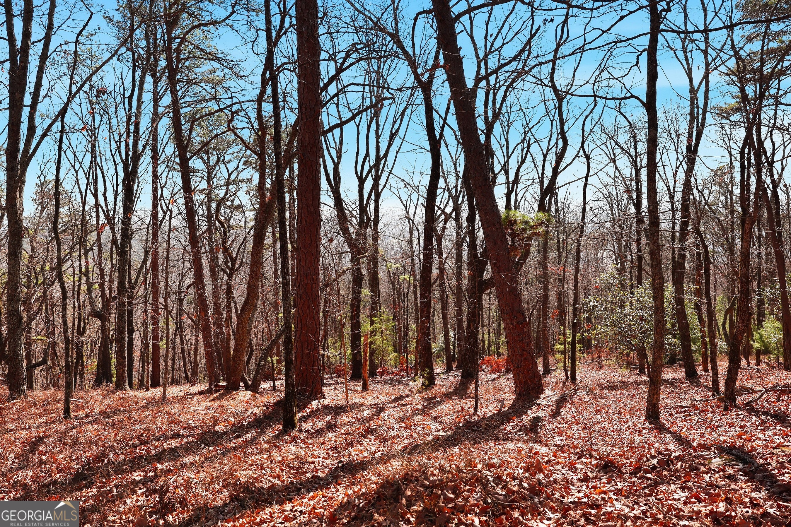 0 Mountain Sweet Drive # 59 Unit: LOTS 58 & 59