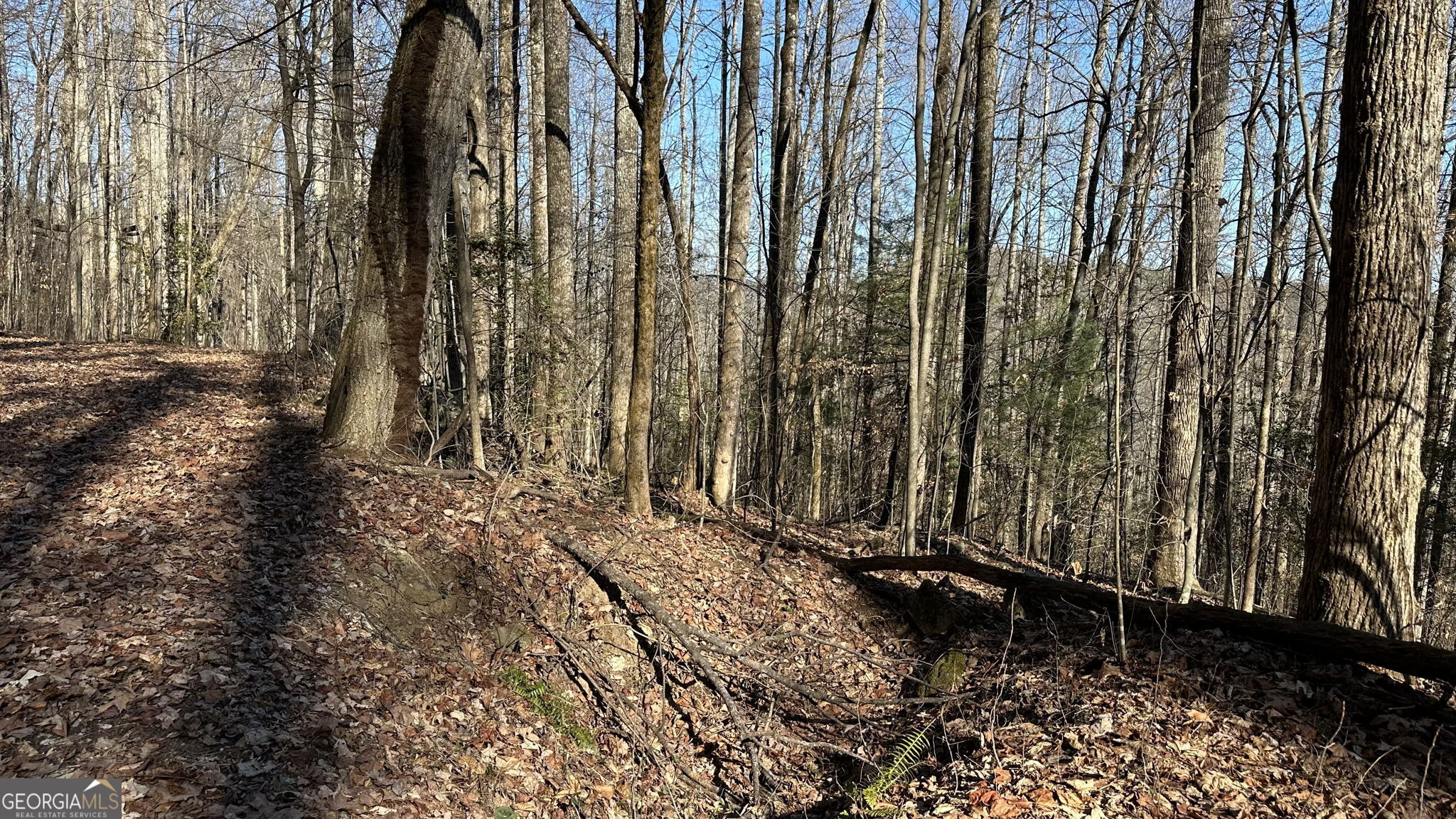 710 Northridge Drive