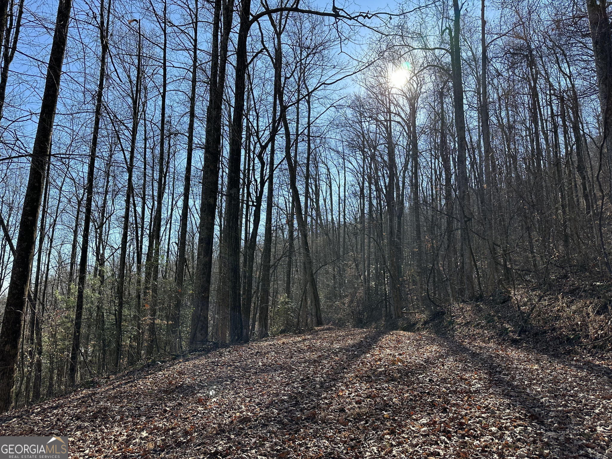 710 Northridge Drive