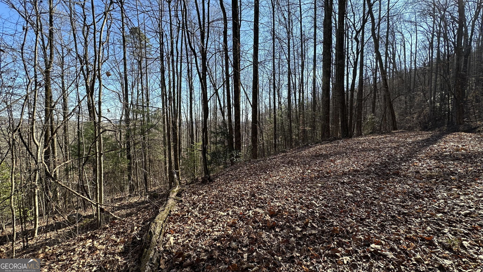 710 Northridge Drive