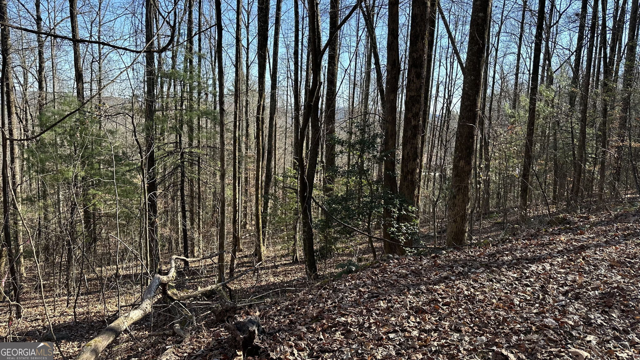 710 Northridge Drive