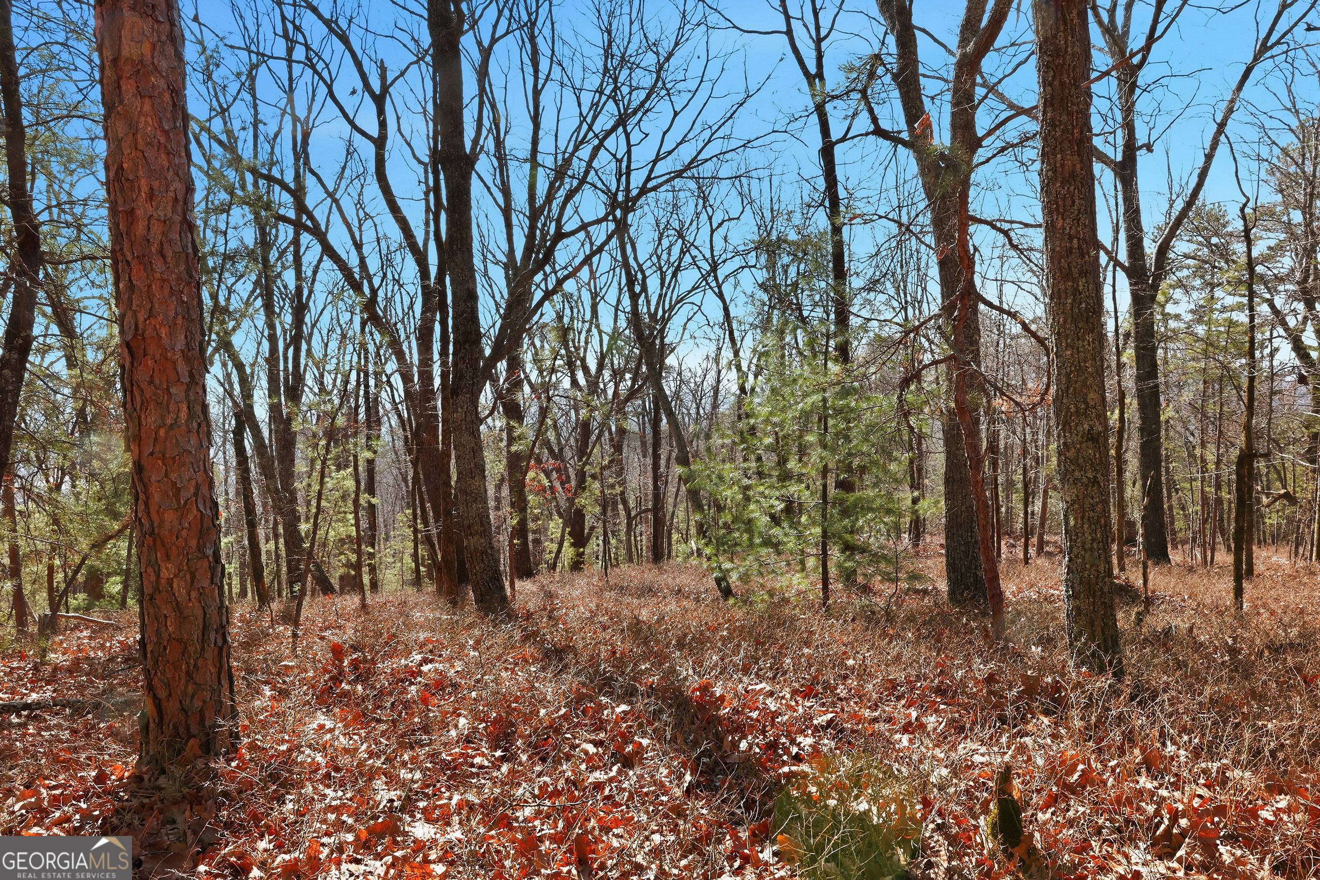 LOT 59 Mountain Sweet Drive