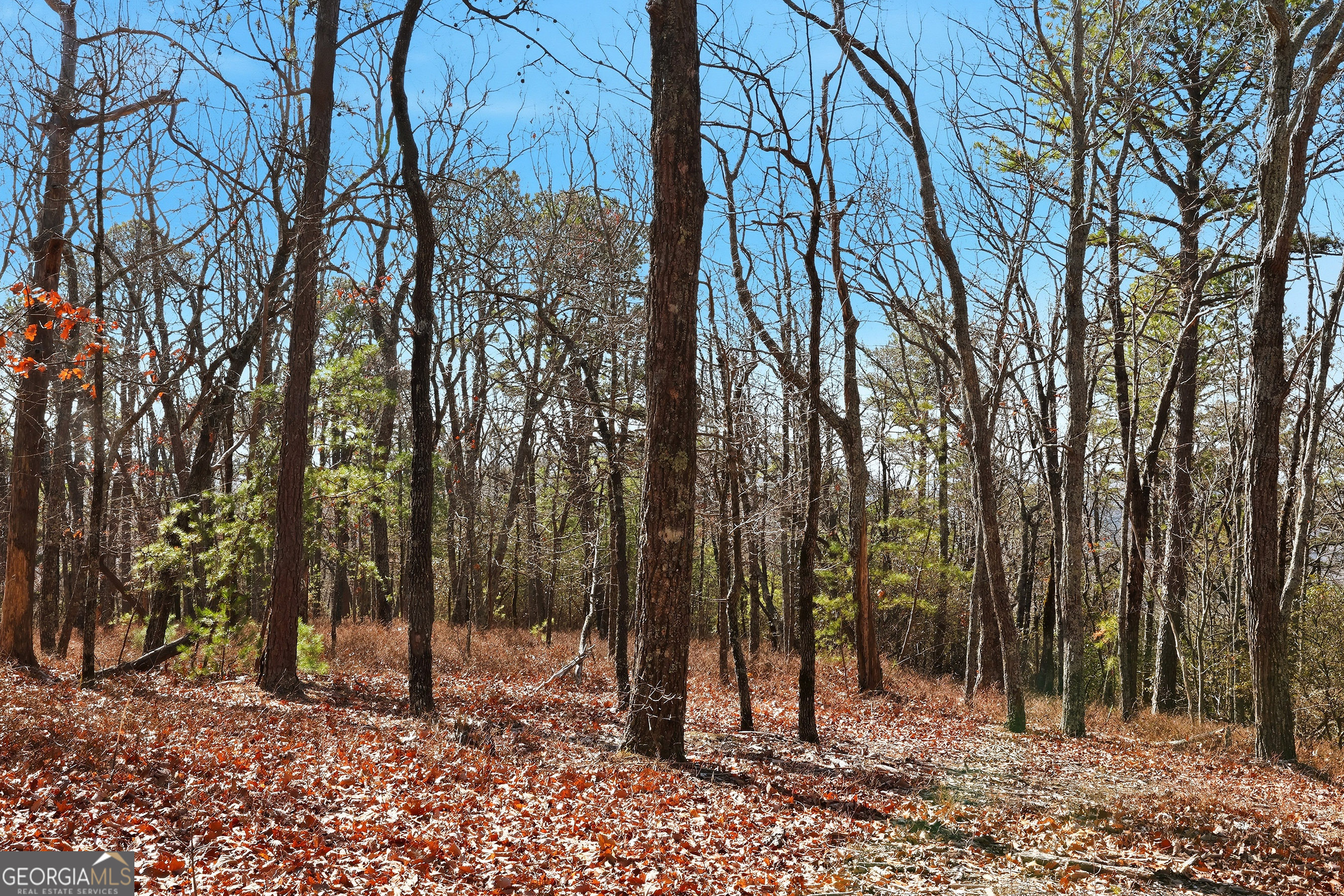 LOT 59 Mountain Sweet Drive