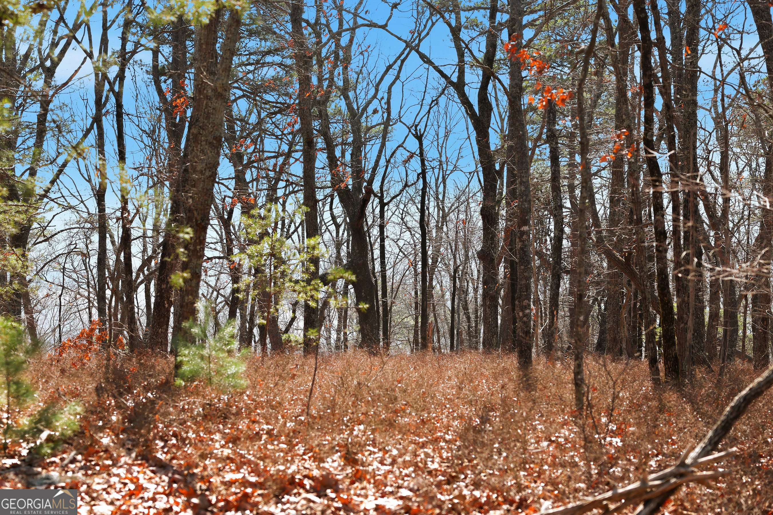 LOT 59 Mountain Sweet Drive