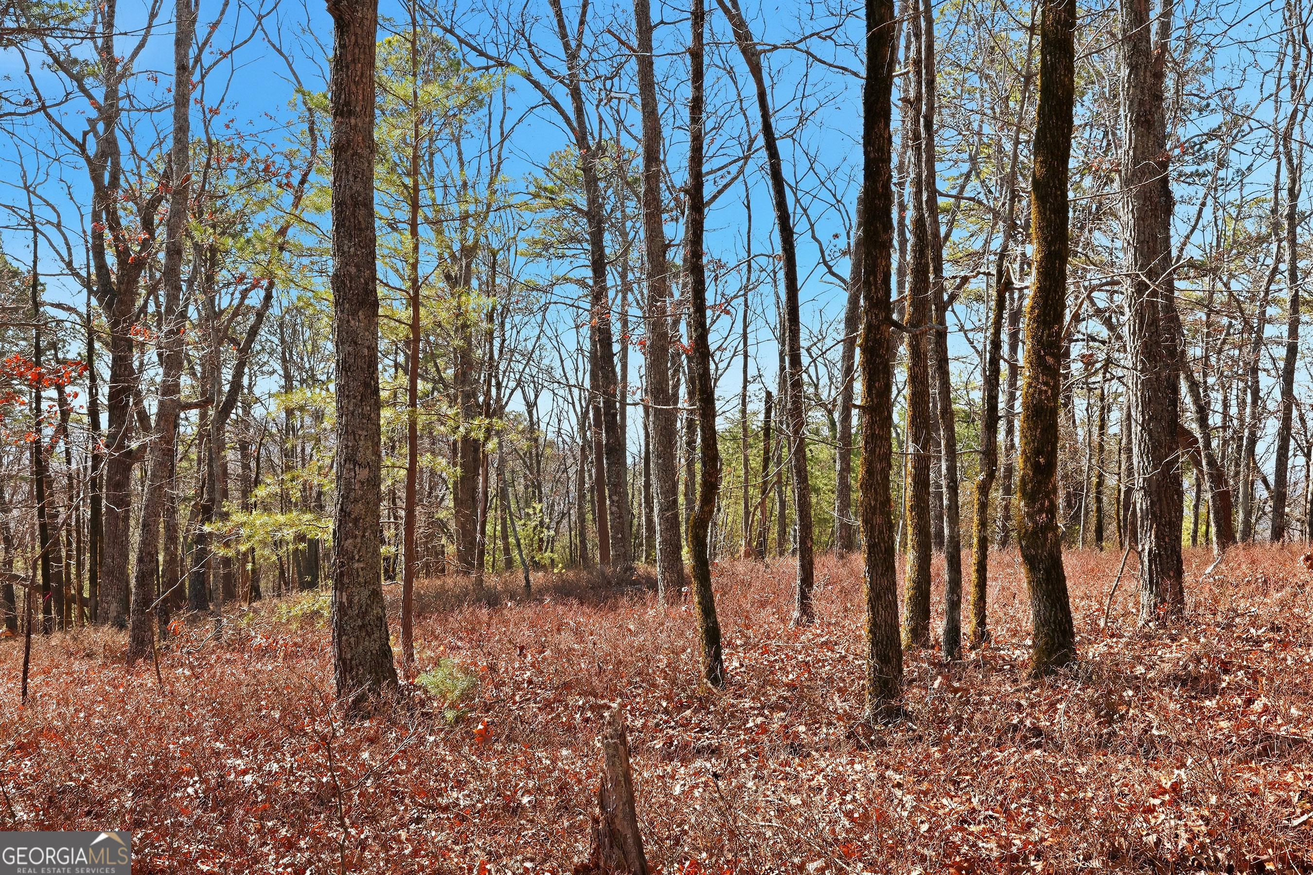 LOT 59 Mountain Sweet Drive
