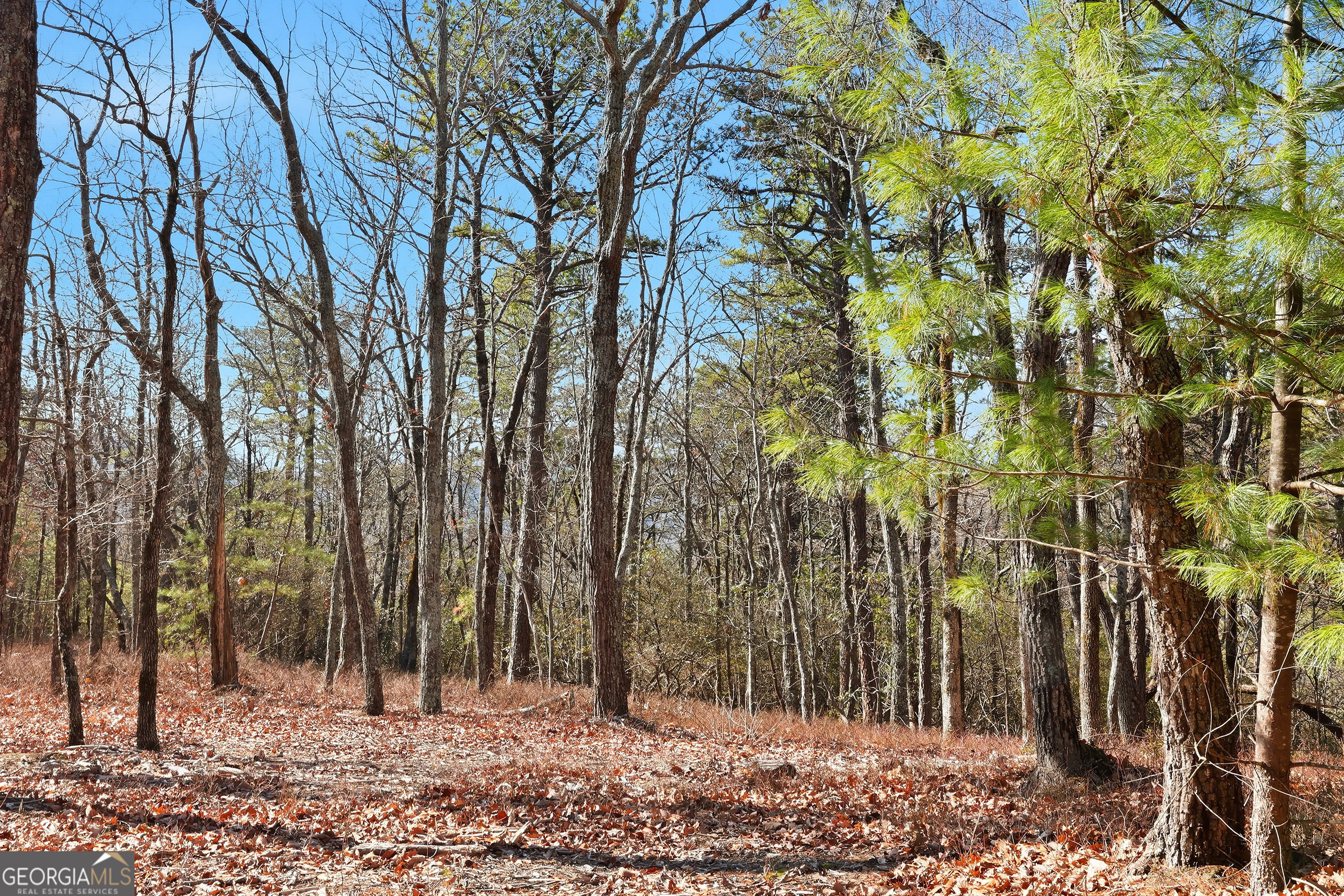 LOT 59 Mountain Sweet Drive