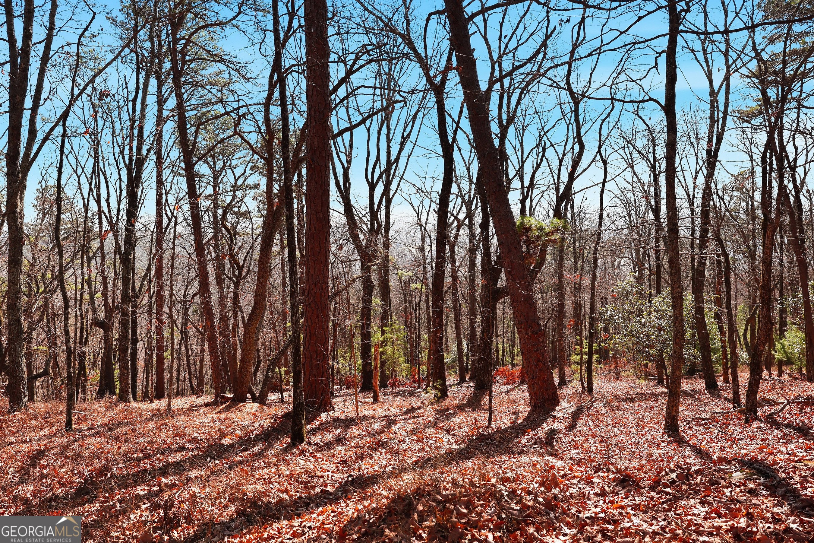 LOT 58 Mountain Sweet Drive