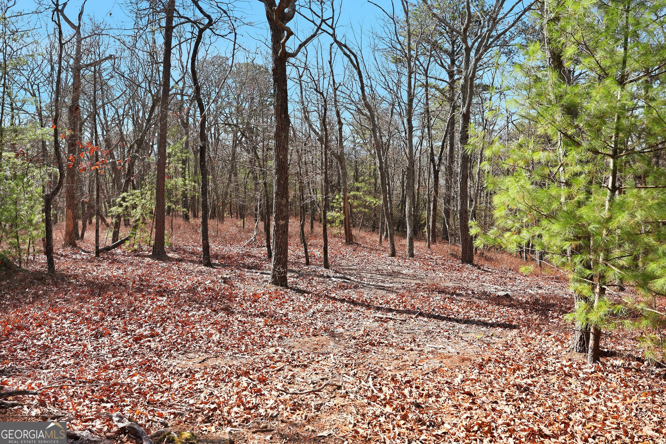 LOT 58 Mountain Sweet Drive