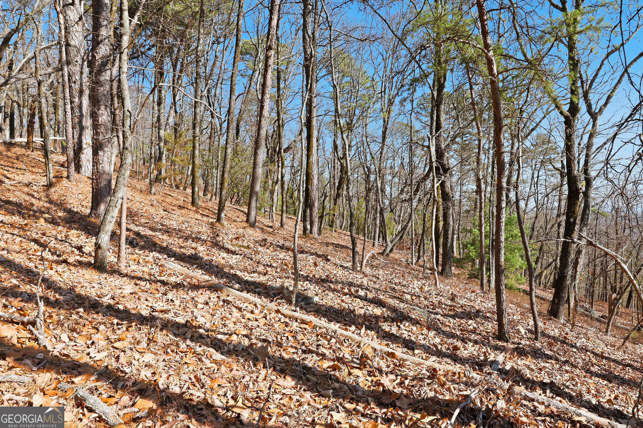 LOT 58 Mountain Sweet Drive