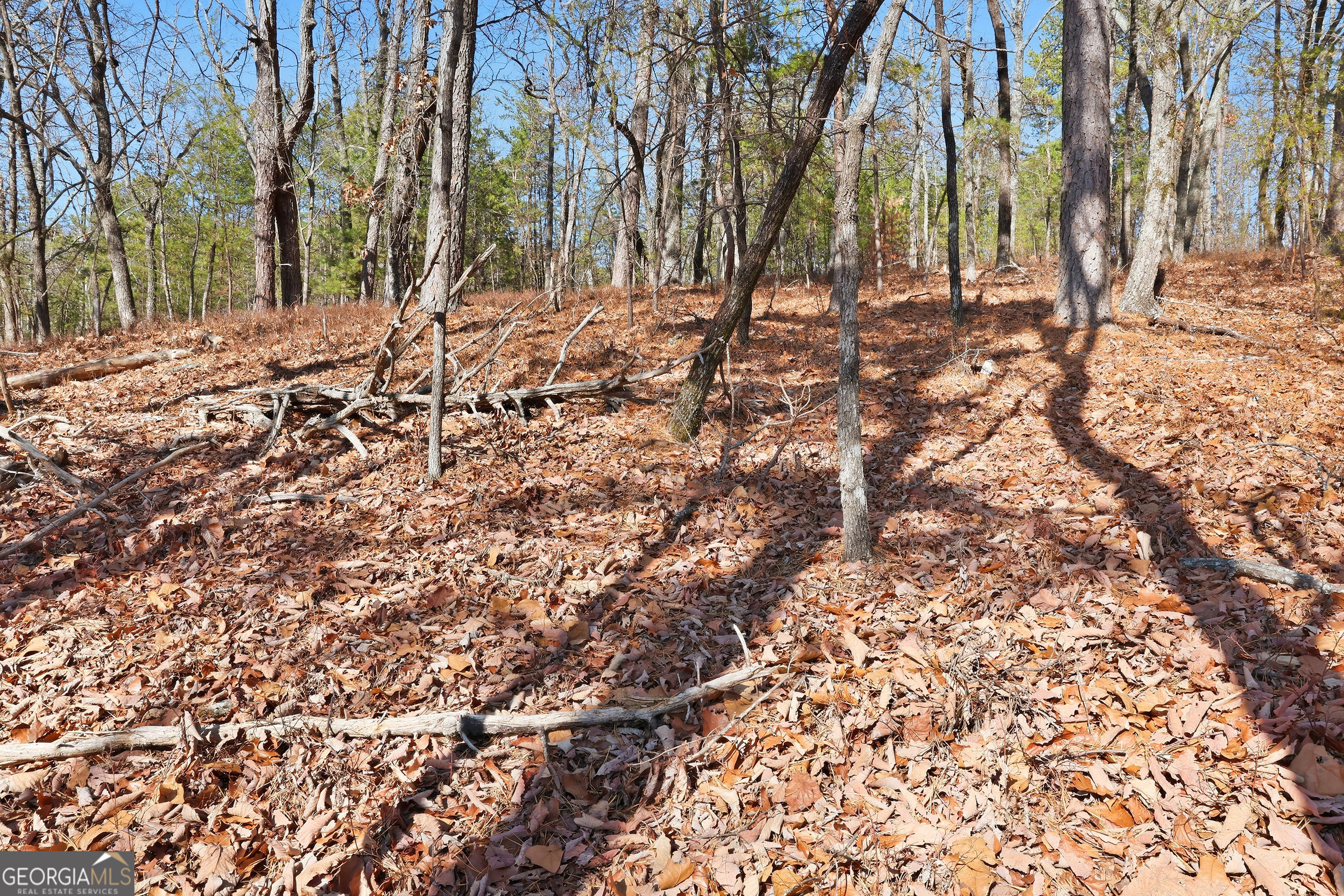 LOT 58 Mountain Sweet Drive