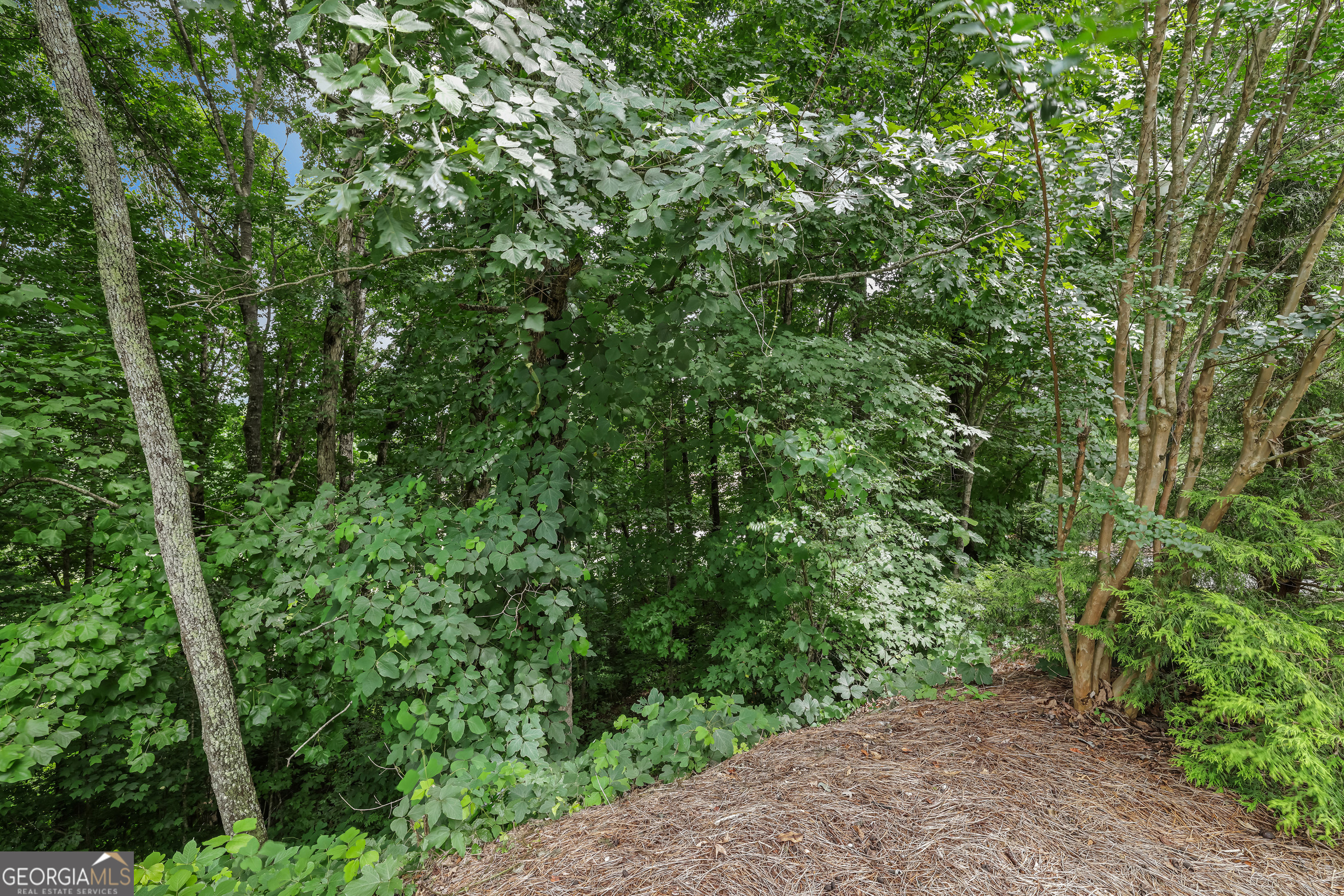 LOT G1 Waterfall Drive