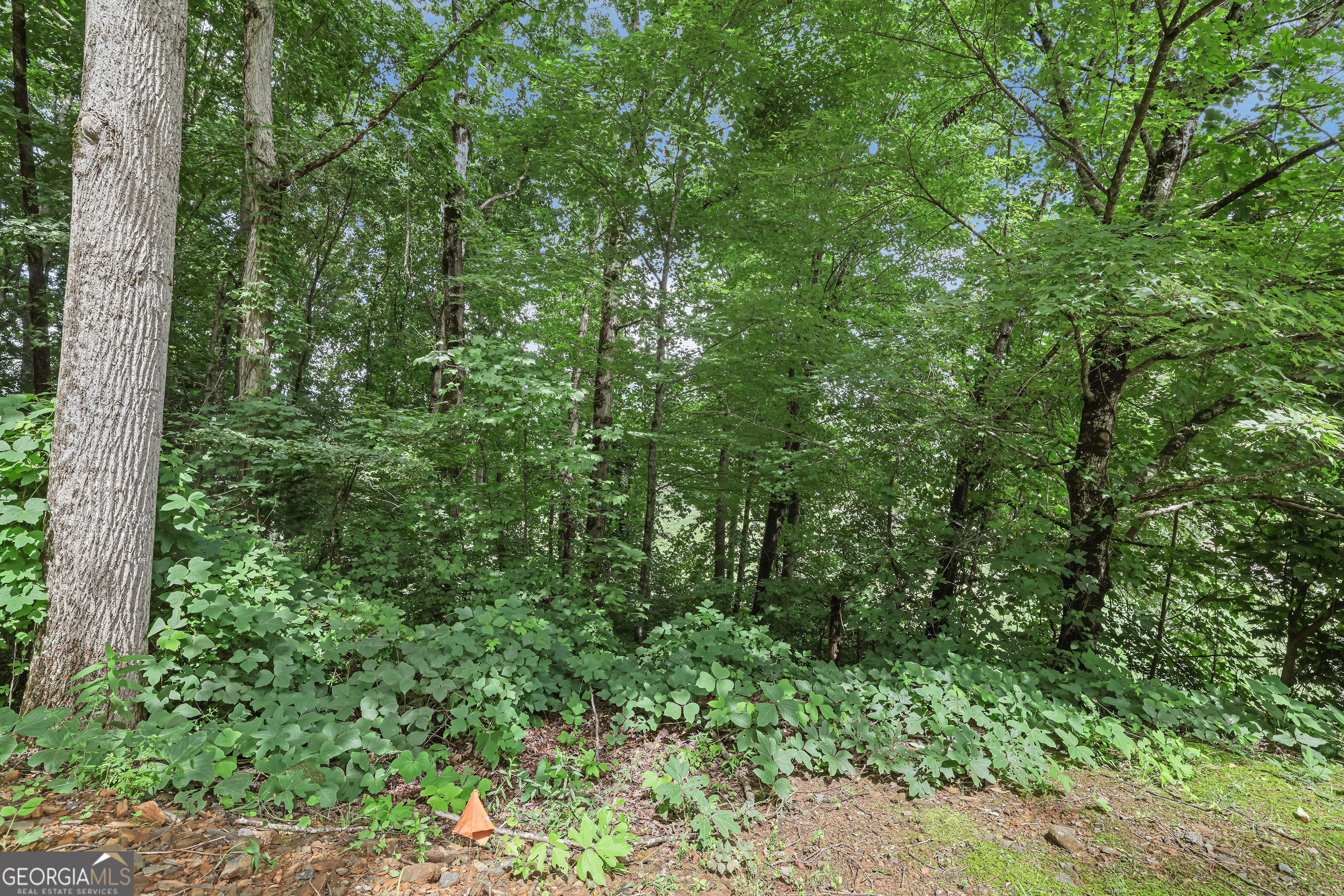 LOT G1 Waterfall Drive