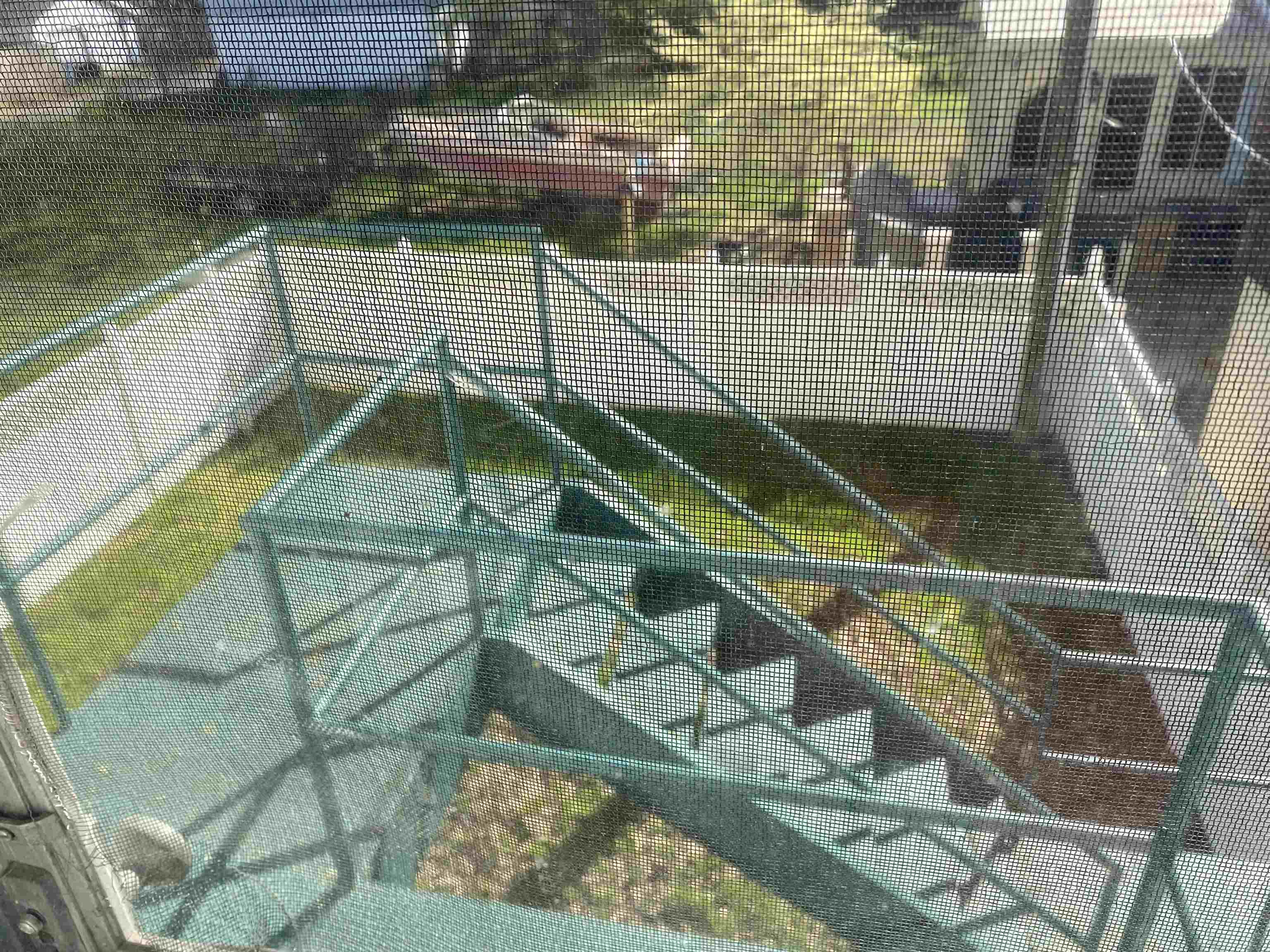 928-928 1/2 10th Street