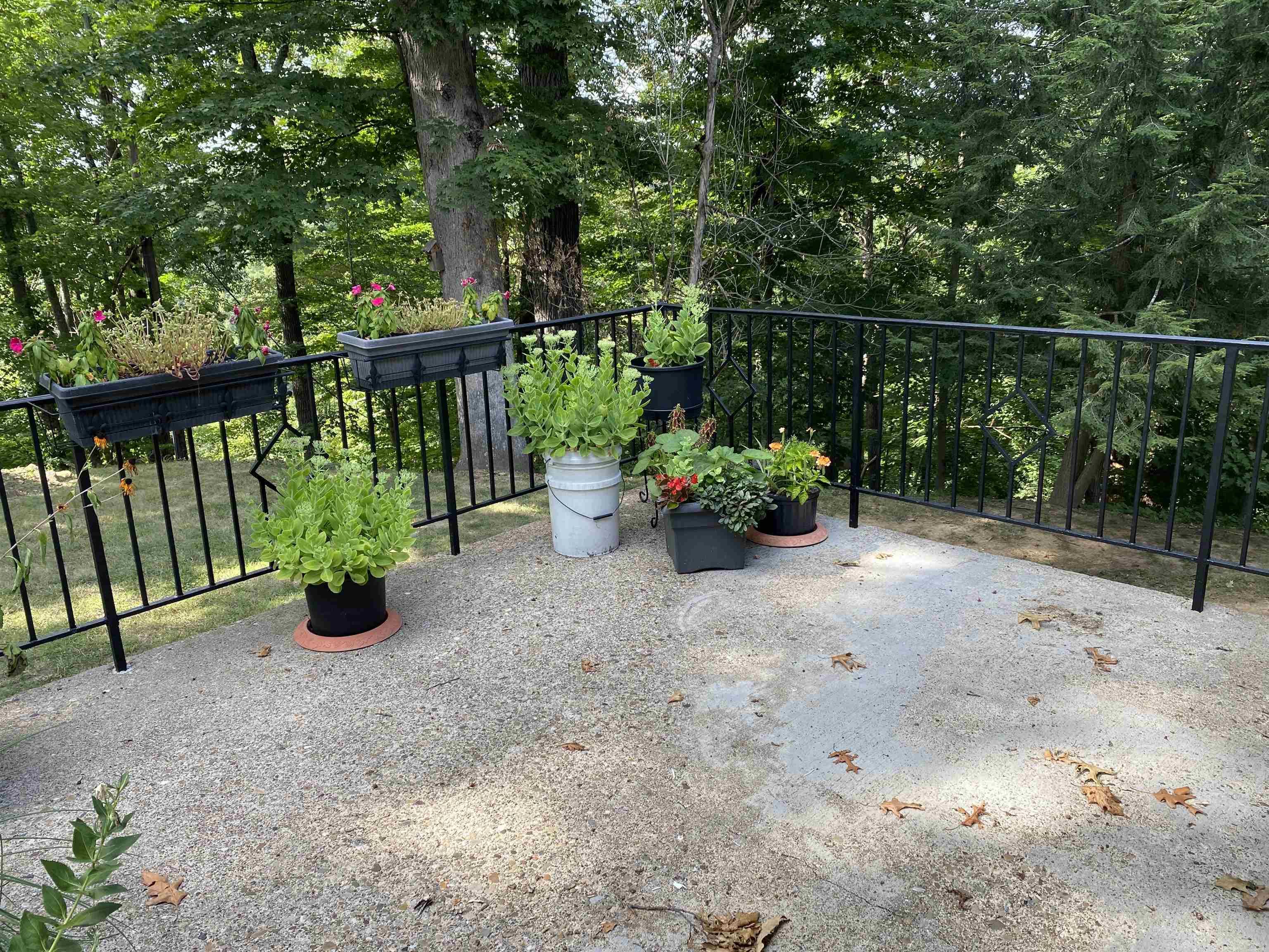 175 Rock Ridge Lane
