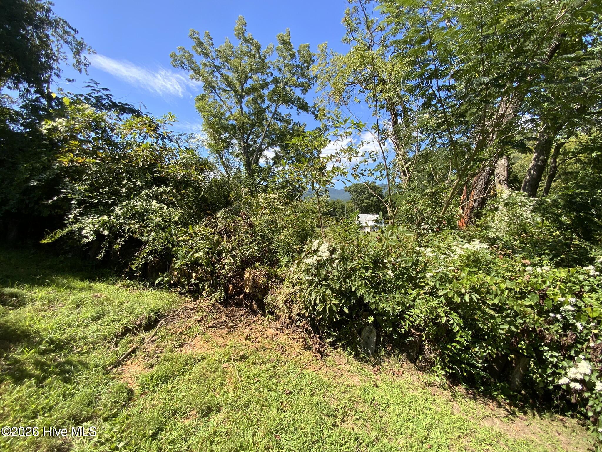 183 Colvard Avenue