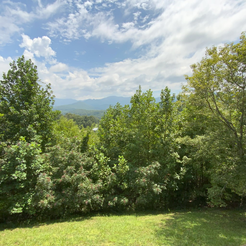 49 Echota Trail