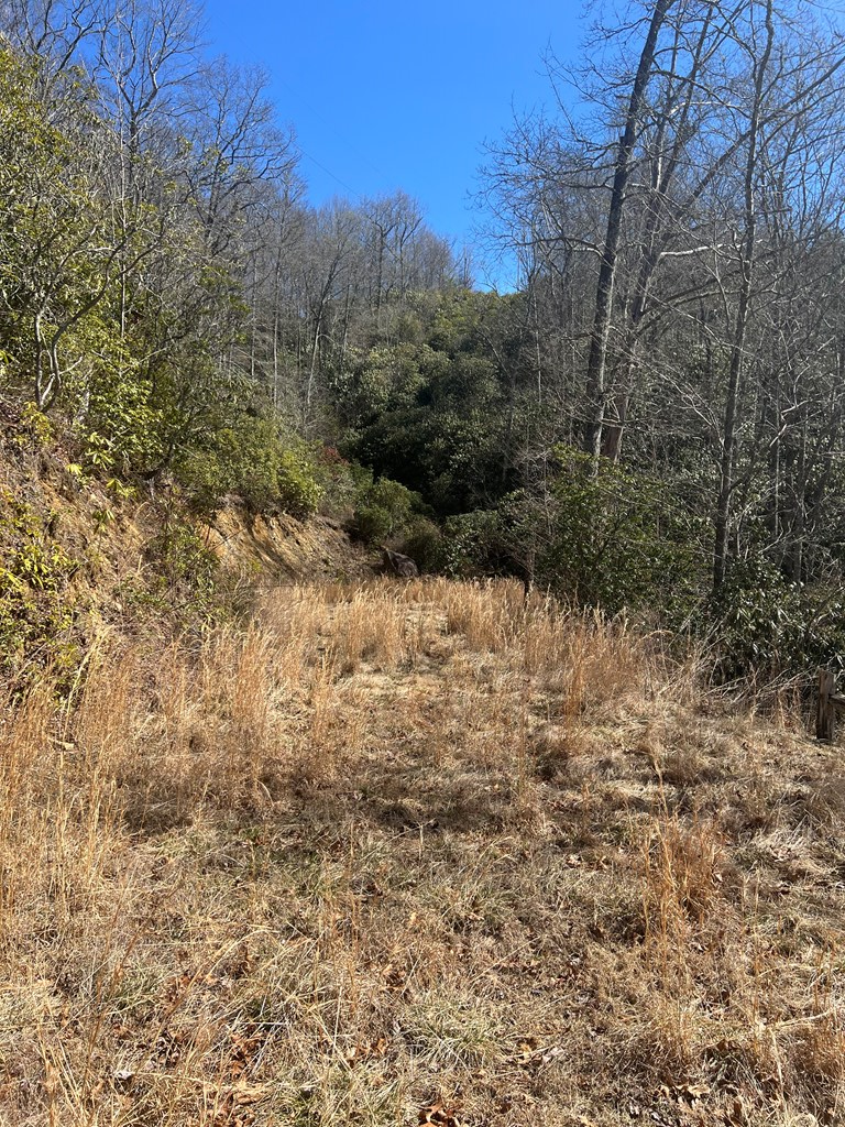 Lot 19 Preserve Valley Road