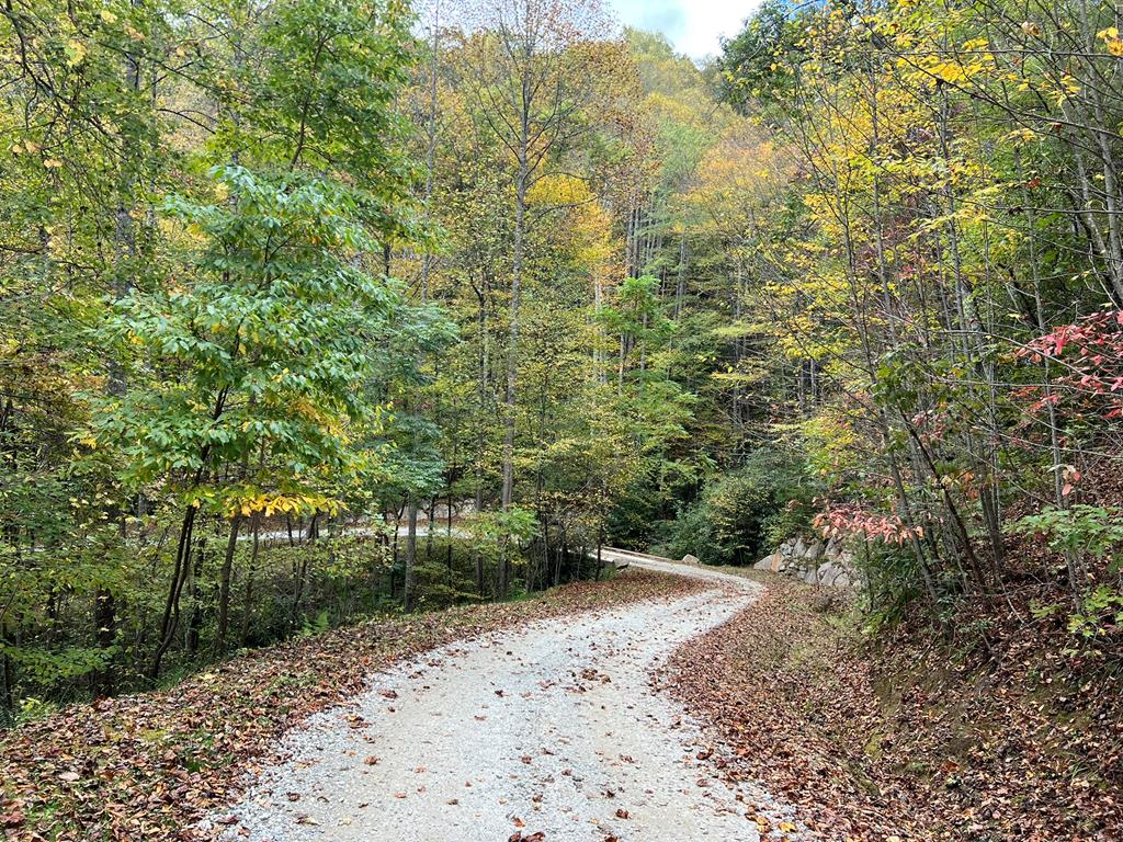 Lot 19 Preserve Valley Road