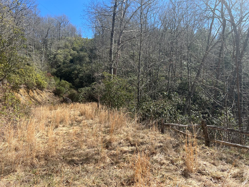 Lot 19 Preserve Valley Road