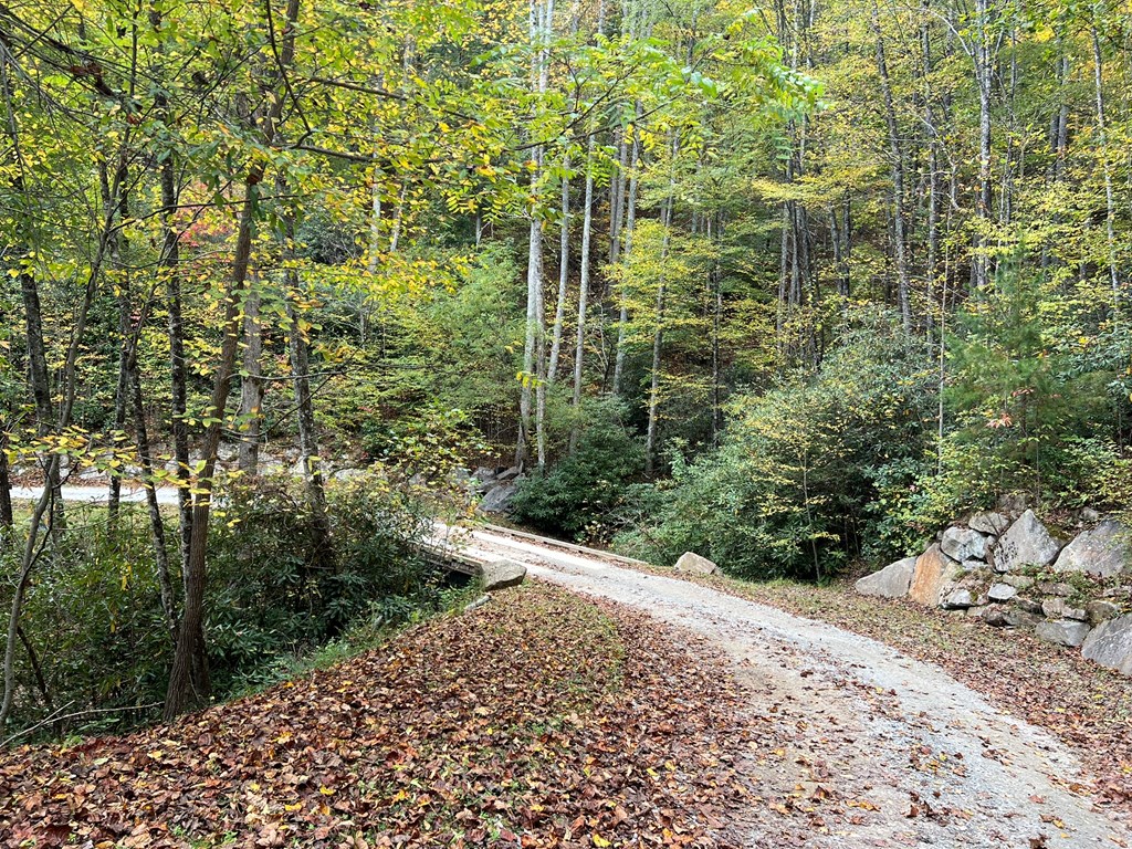 Lot 18 Black Bear Trail