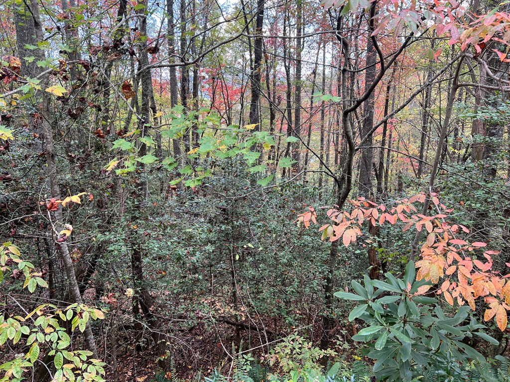 Lot 18 Black Bear Trail