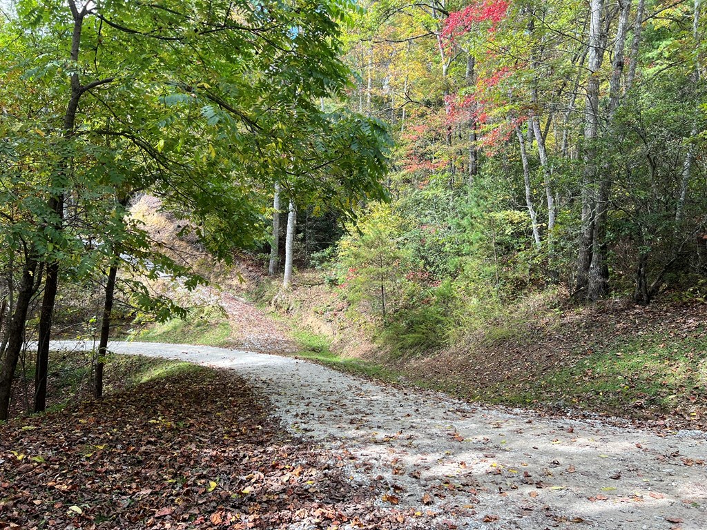 Lot 18 Black Bear Trail