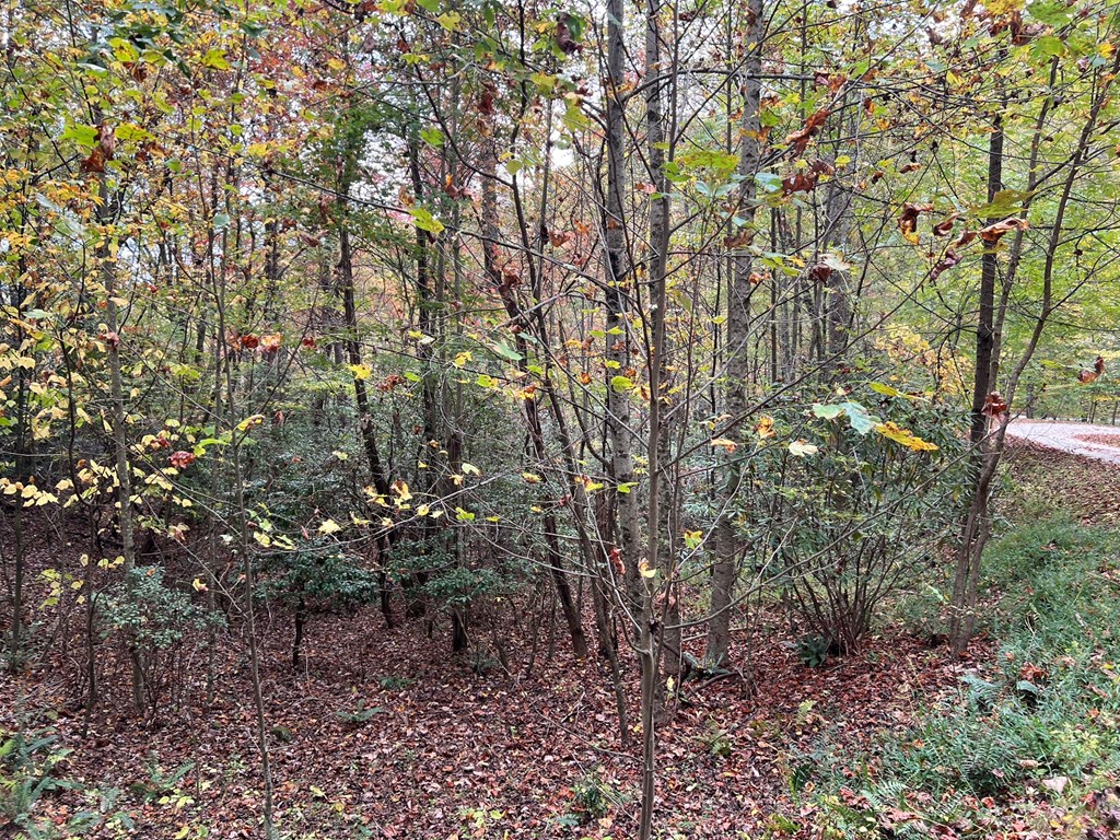 Lot 18 Black Bear Trail