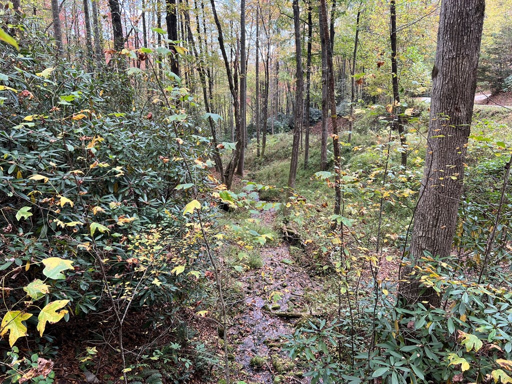 Lot 18 Black Bear Trail