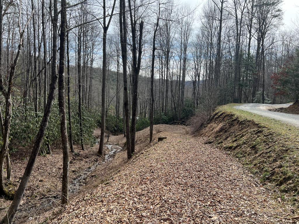 Lot 17 Black Bear Trail