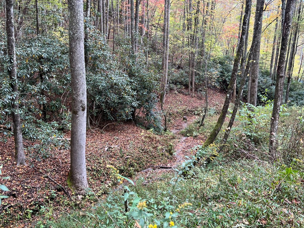 Lot 17 Black Bear Trail