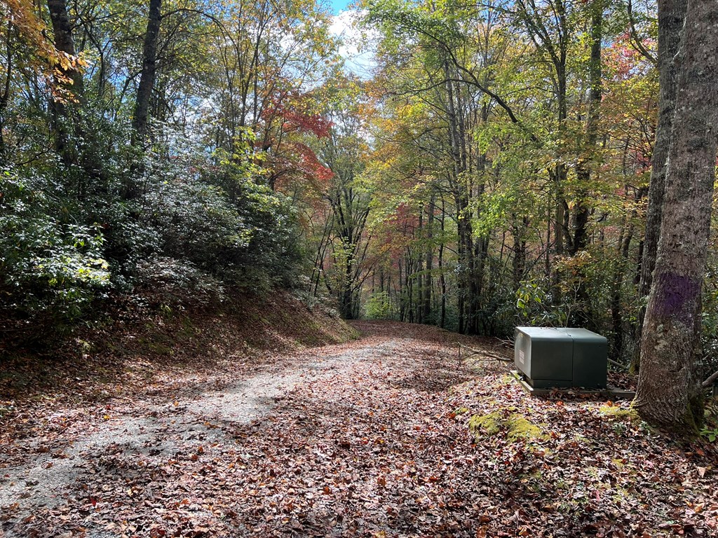 Lot 17 Black Bear Trail