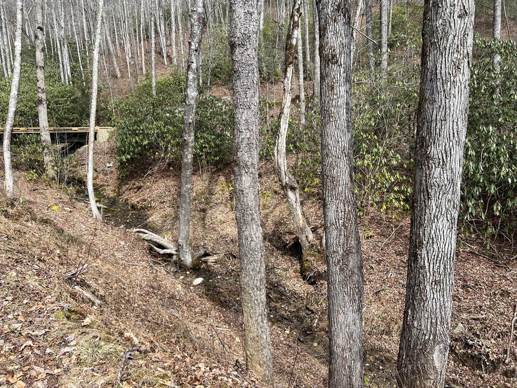 Lot 17 Black Bear Trail