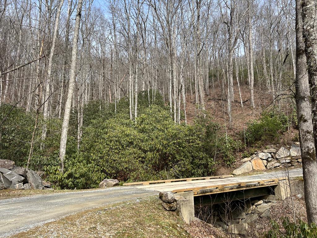 Lot 17 Black Bear Trail