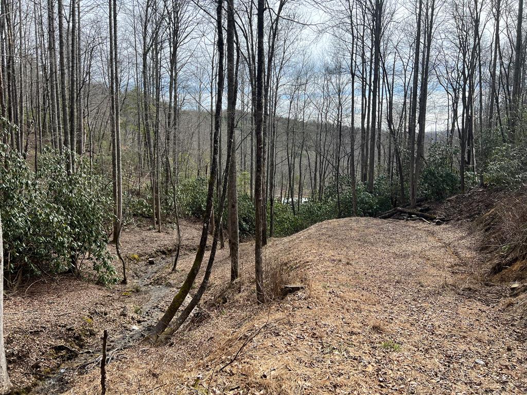 Lot 17 Black Bear Trail