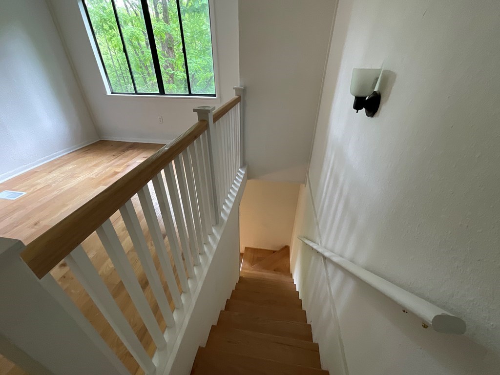 1136 Granny Squirrel Drive