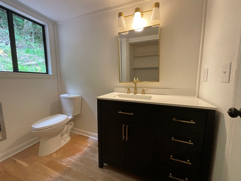 1136 Granny Squirrel Drive