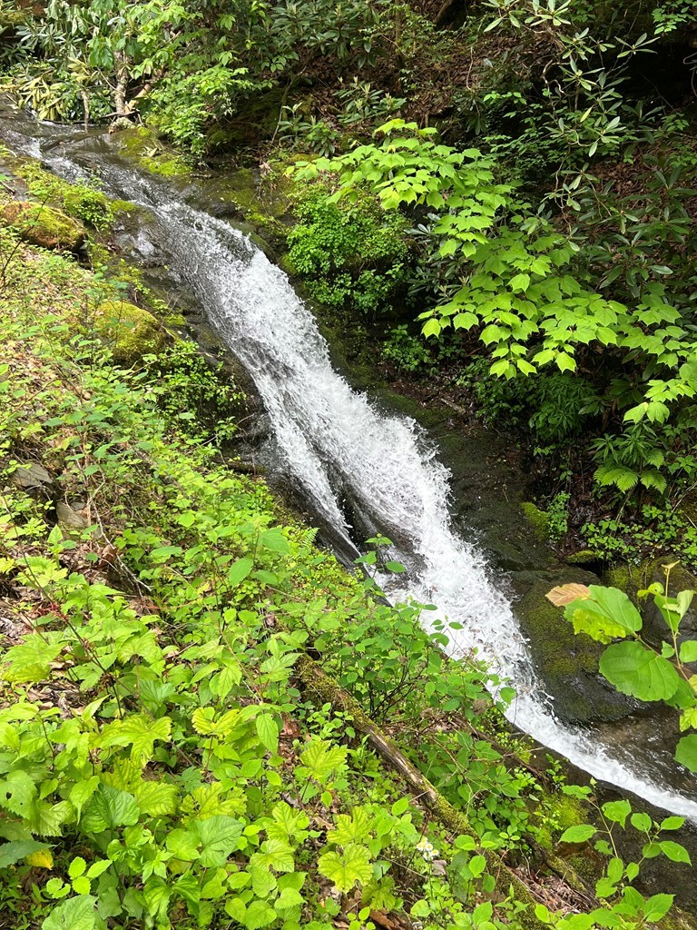 1136 Granny Squirrel Drive