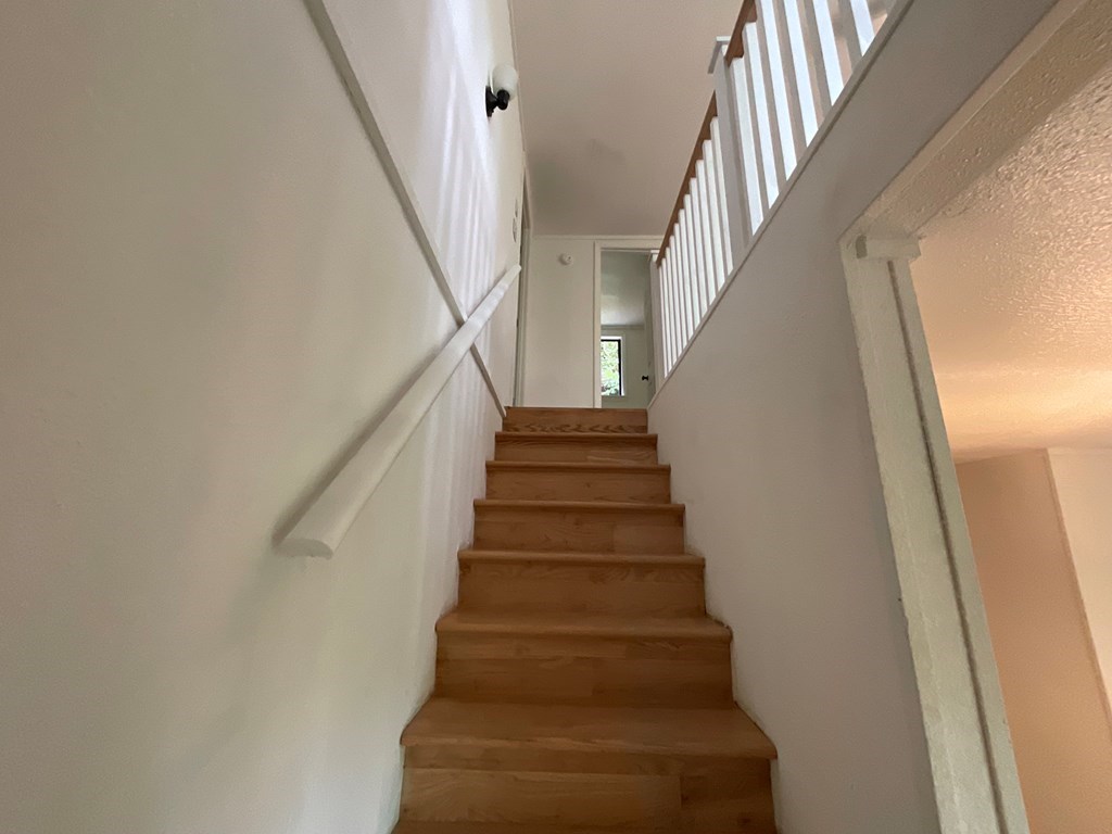 1136 Granny Squirrel Drive