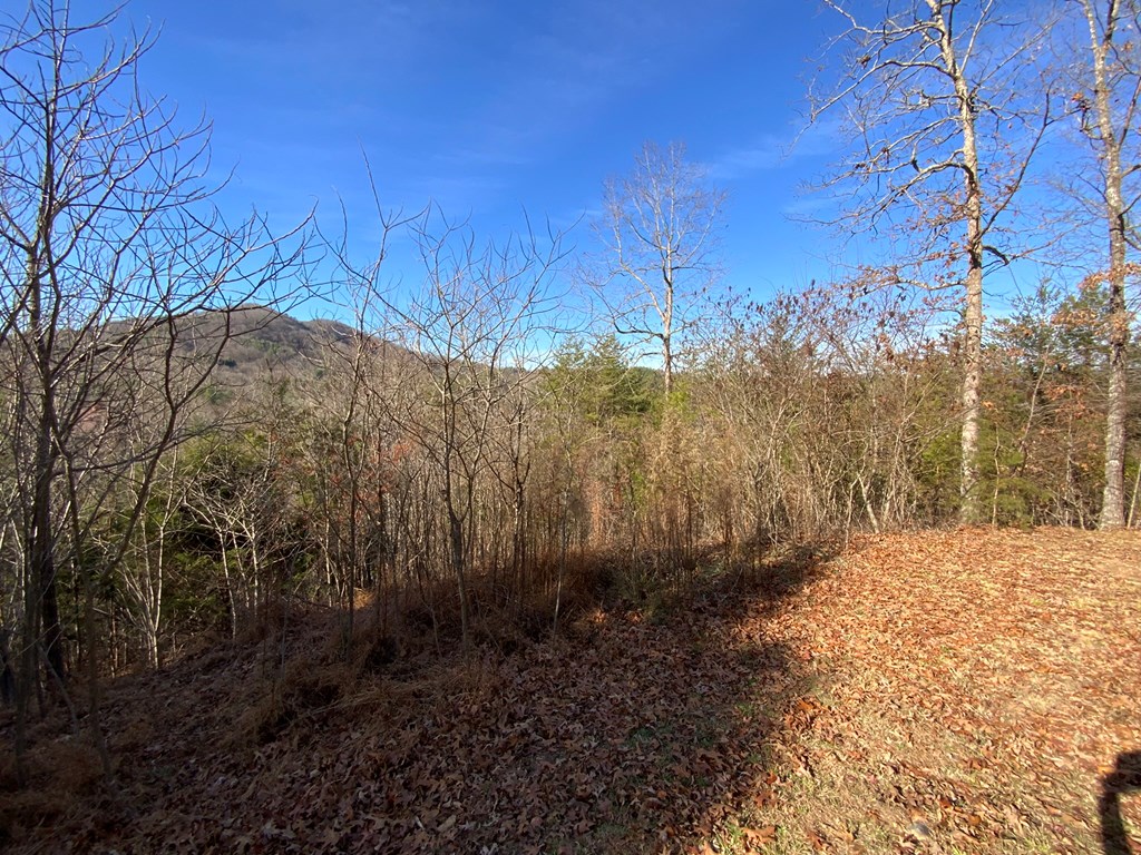 00 Brasstown View