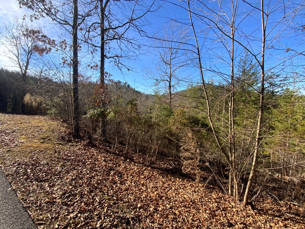 00 Brasstown View