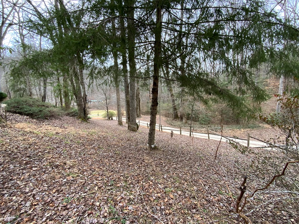 1600 Long Branch Road