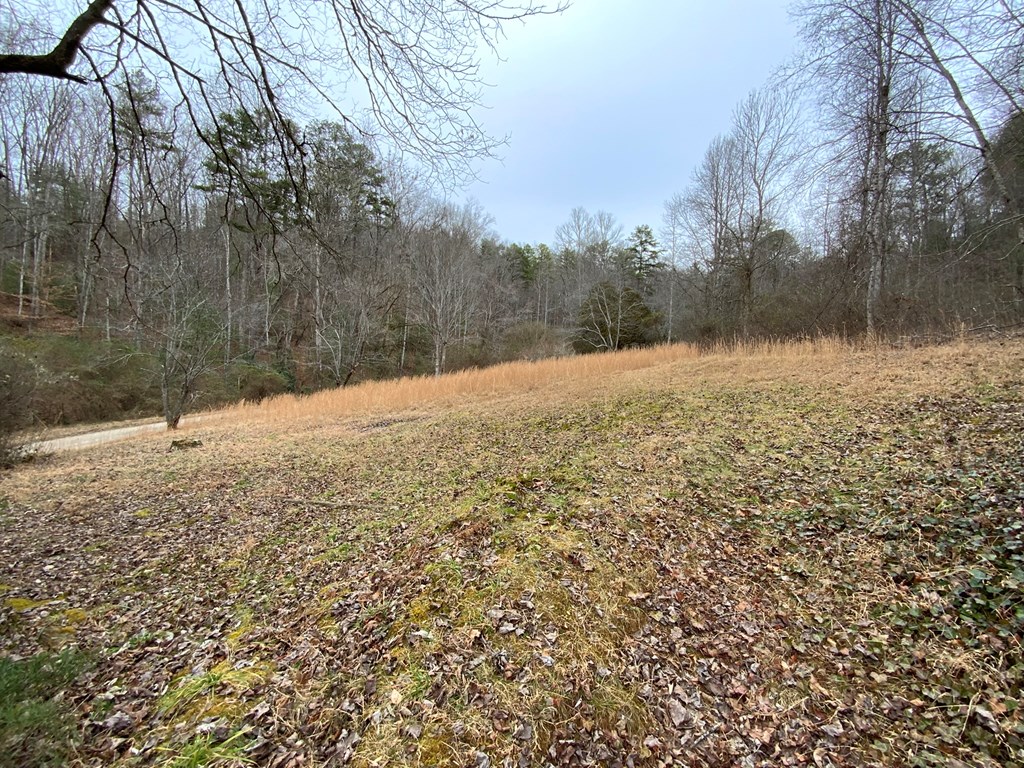 1600 Long Branch Road