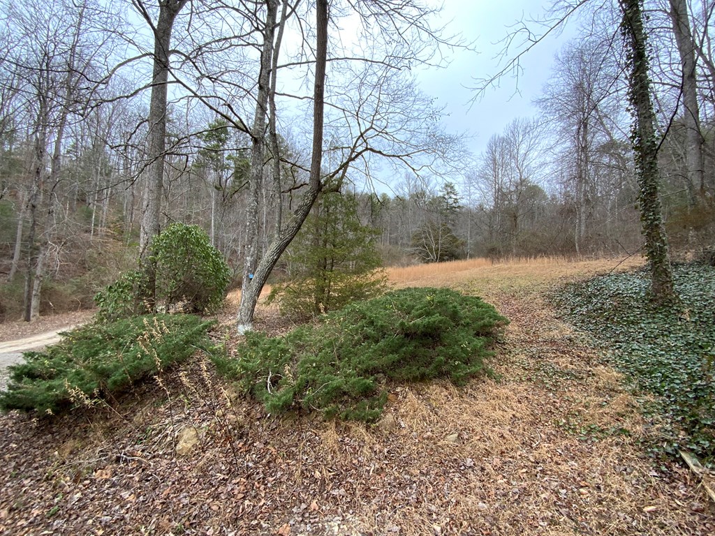 1600 Long Branch Road